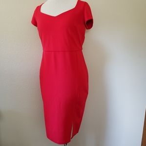 Express exposed back zipper red dress